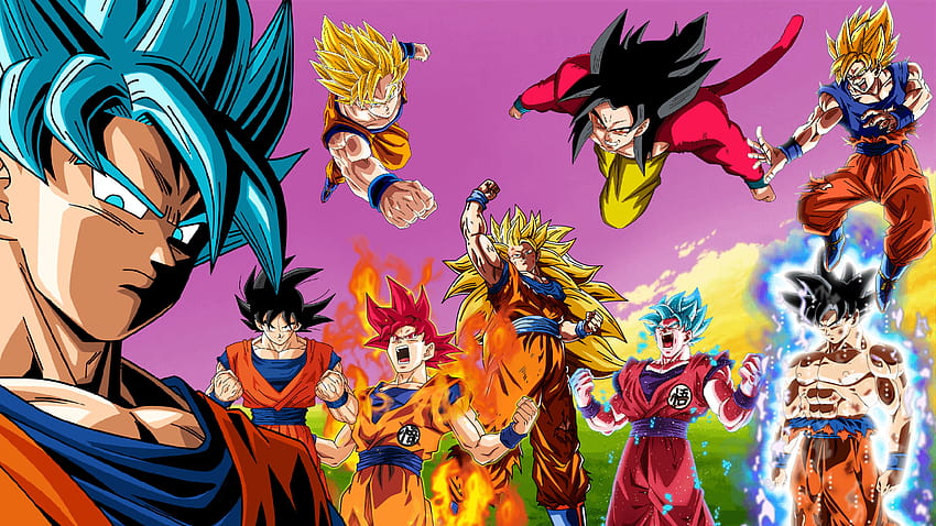 Goku All Transformations posted by John Mercado, goku in every form HD  wallpaper | Pxfuel