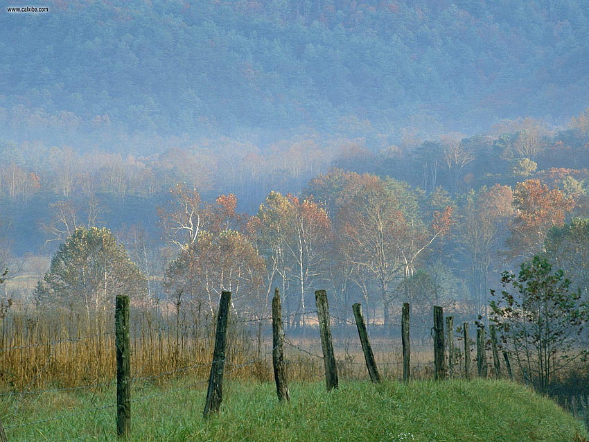 Nature: Cades Cove Great Smoky Mountains National Park, winter cades cove smoky mountains HD wallpaper