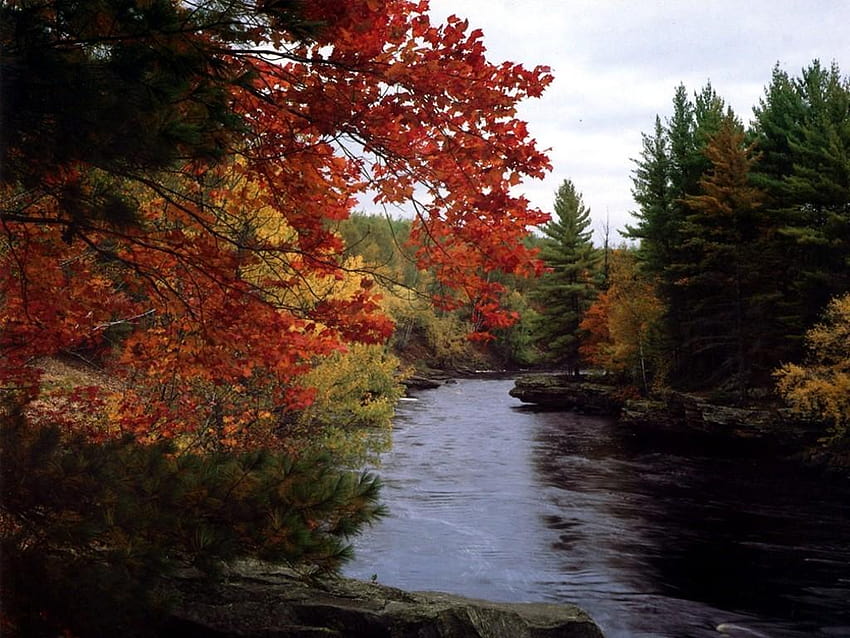 川: Autumnsupreme Autumn River Fall Nature Forest 高画質の壁紙