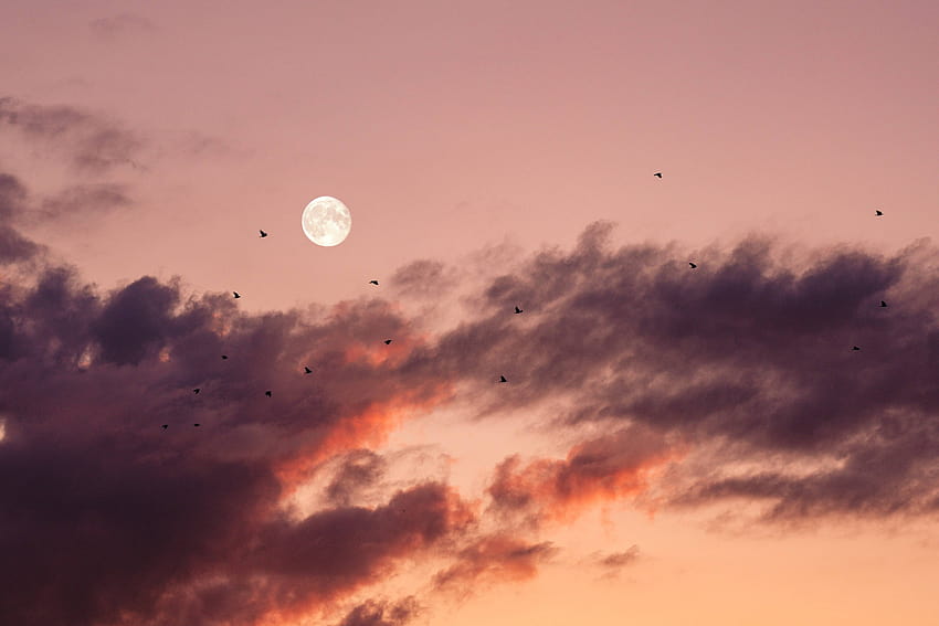 Aesthetic Moon Art Vintage Aesthetic Sunset posted by Ethan Johnson, sunset moon HD wallpaper