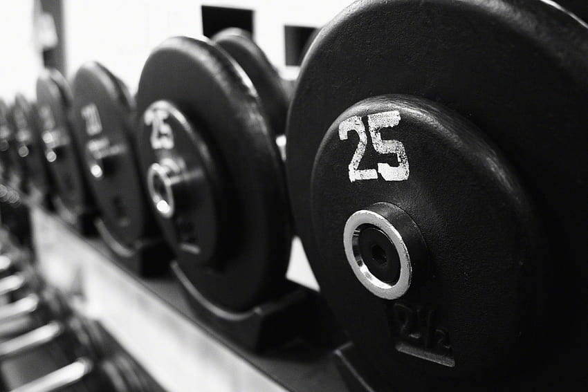 Weights, dumbbells HD wallpaper | Pxfuel