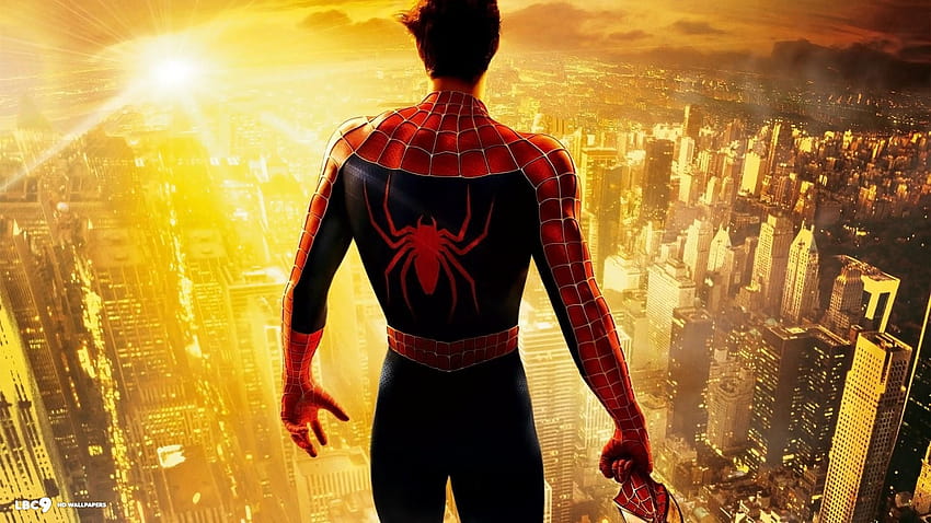 Yellow spider man HD wallpaper | Pxfuel