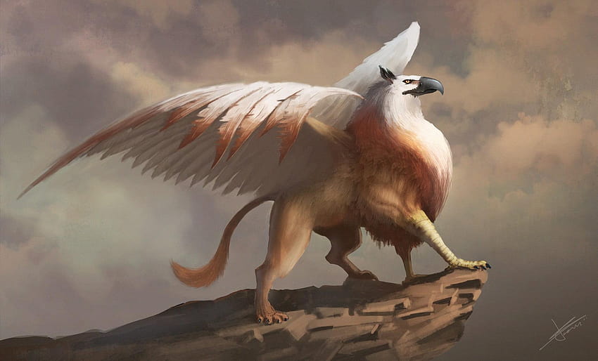 Brown and white gryphon illustration, artwork, fantasy art, owl griffin HD wallpaper