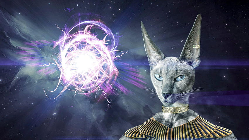 Realistic Dragon Ball, lord beerus HD wallpaper | Pxfuel