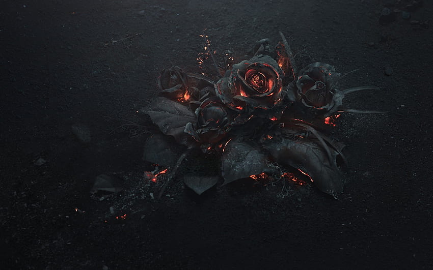 2880x1800 Rose Ashes, Fire, Black, Dark Theme, dark fire วอลล์เปเปอร์ HD