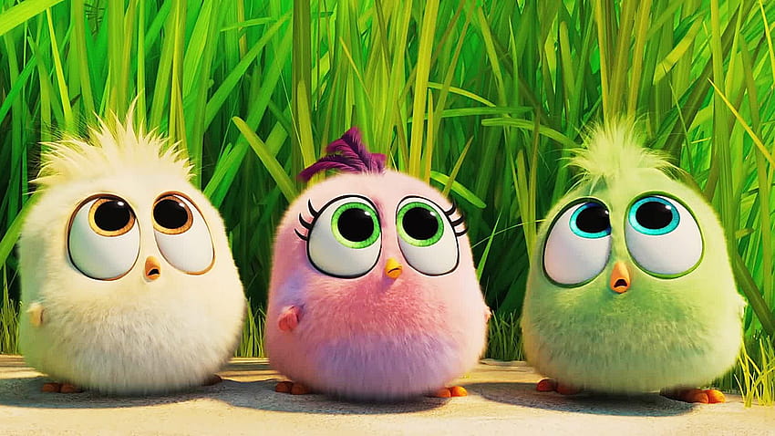 Bébés oiseaux Le film Angry Birds 2 43280 Fond d'écran HD