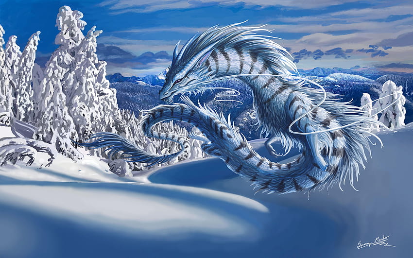 Winter Dragon, snow dragon HD wallpaper | Pxfuel