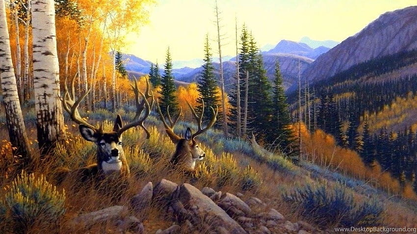 Deer Summer Mule Deer Paintings Animals Love Seasons Draw Paint ... Backgrounds HD wallpaper