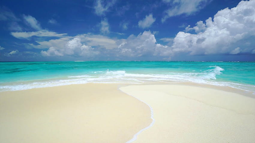 The Perfect Paradise Beach Scene in : White Sand, Blue Water, ocean waters aerial view HD wallpaper