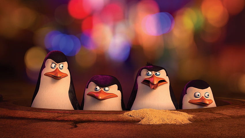 66 Pinguine aus Madagaskar HD-Hintergrundbild