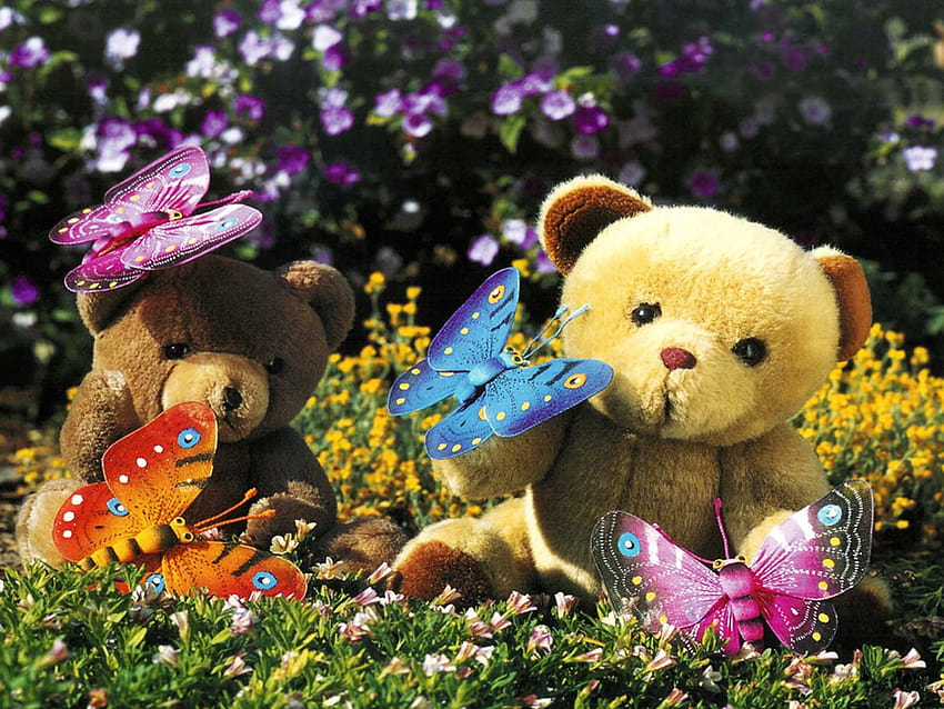 Lovely Teddy Bear's – Atoz, beautiful teddy bears HD wallpaper