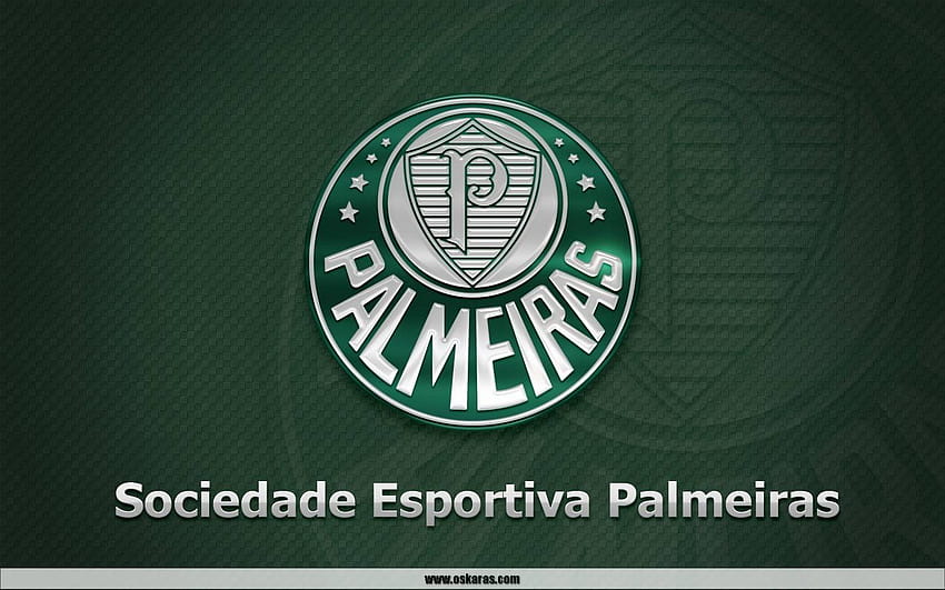 Papel de parede Palmeiras fotos incríveis วอลล์เปเปอร์ HD