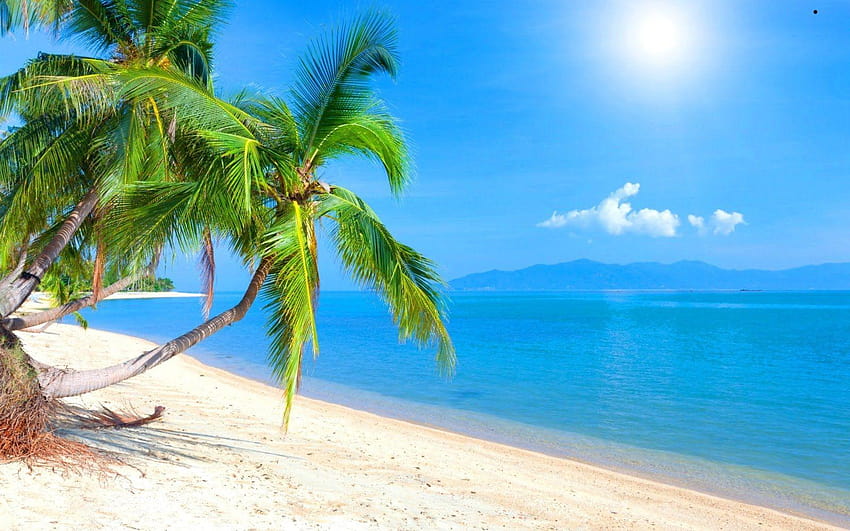 tropical island backgrounds 4 HD wallpaper