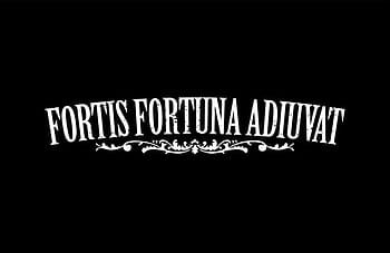 Fortis Fortuna Adiuvat: Latin sentence: Perfect Size 110 Page Journal  Notebook Diary (110 Pages, Lined, 6 x 9)
