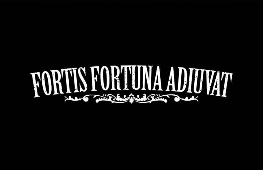 Fortis Fortuna Adiuvat Latin Phrase Digital Art by Llana Imageon - Pixels