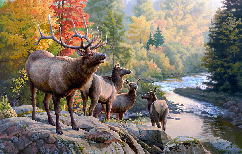 autumn, forest, nature, pose, river, stones, shore, foliage, figure, art, haze, painting, deer, pond, family , section живопись, family deer HD wallpaper
