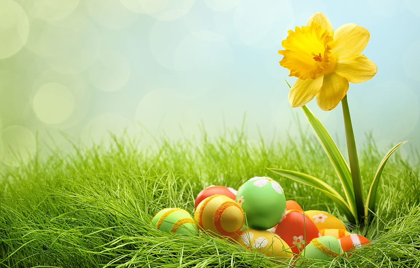 Happy Easter for, easter symbols HD wallpaper