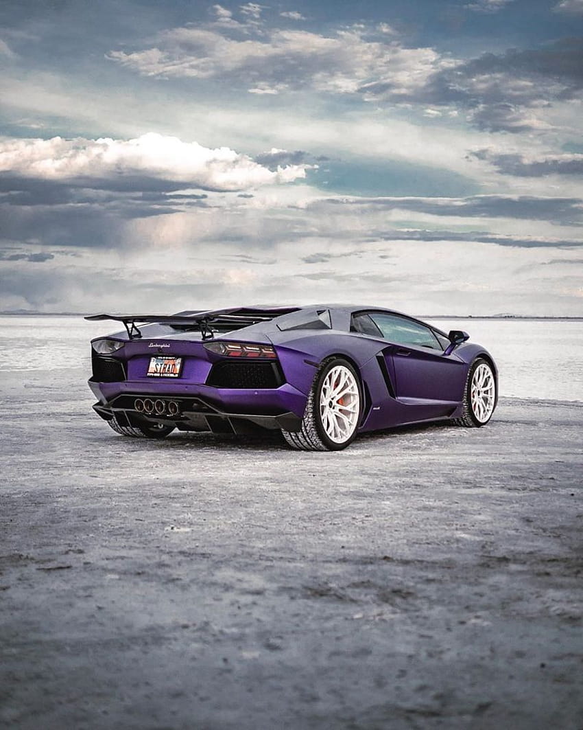 W I L L C O L L E T T E on Instagram: “Blown away at how much engagement these @thestradman get. As long as you guys go crazy for a purple Lambo in some… HD phone wallpaper