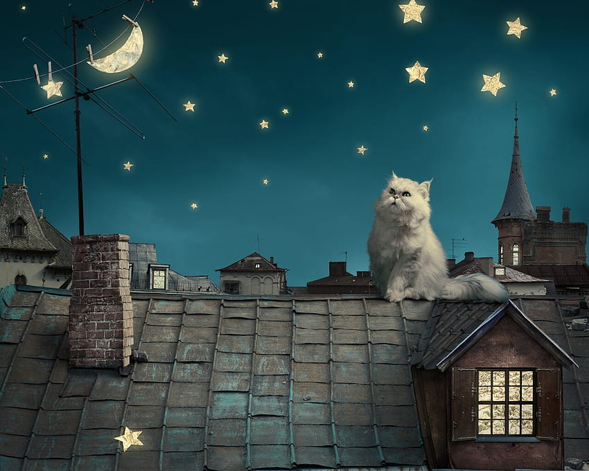 1280x1024 Cat Moon Stars Digital Art Dreamy 1280x1024 Resolution , Backgrounds, and, cat and moon HD wallpaper