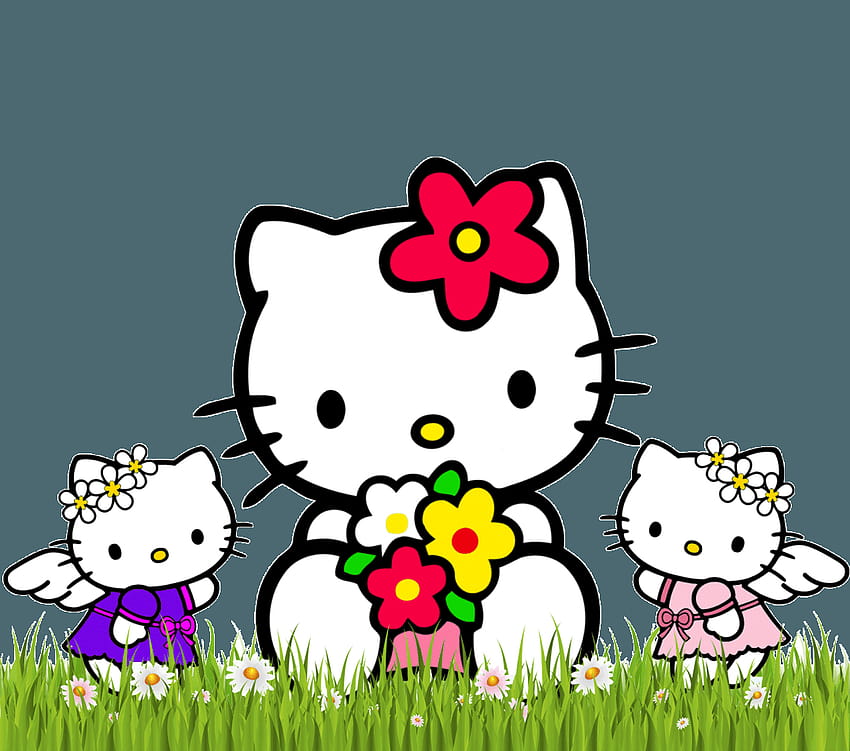 Hello Kitty Home, hello kitty background png HD wallpaper