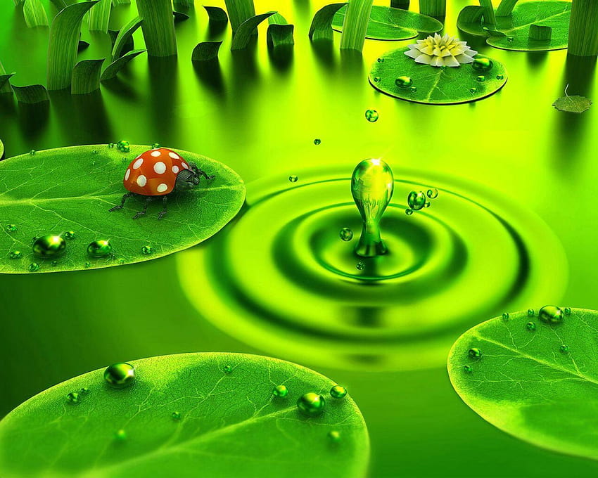 3D Ladybug And Green Rain Drop, rain drops 3d HD wallpaper