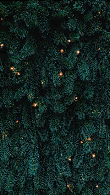 christmas tree iphone wallpaper