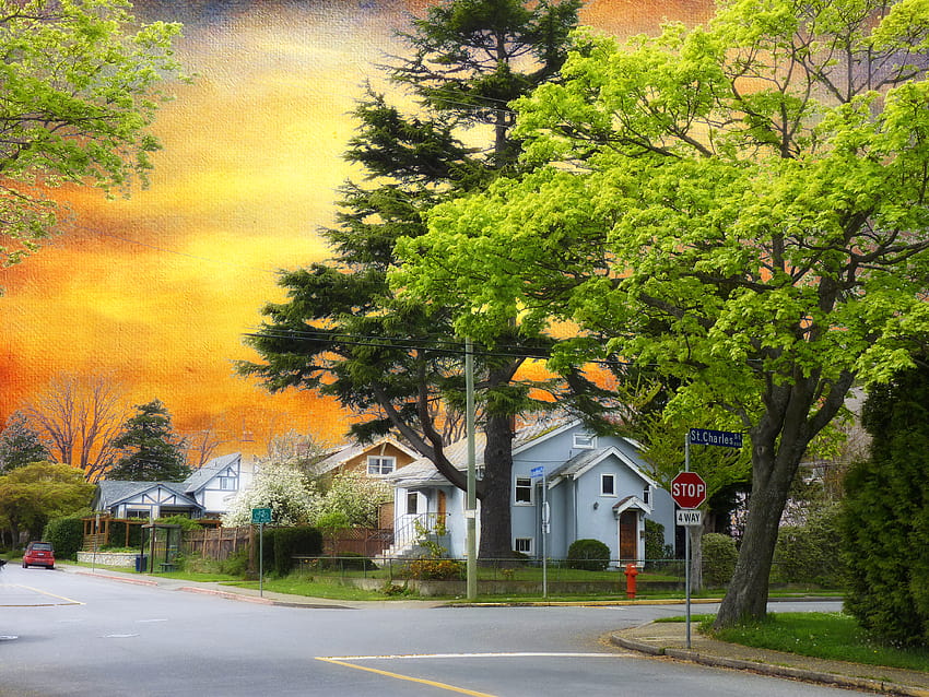 : sunlight, landscape, sunset, nature, sky, road, branch, house, village, evening, morning, blossom, spring, cottage, April, tree, autumn, leaf, home, suburb, tatot, rural area, computer , woody plant, neighbourhood, residential area HD wallpaper