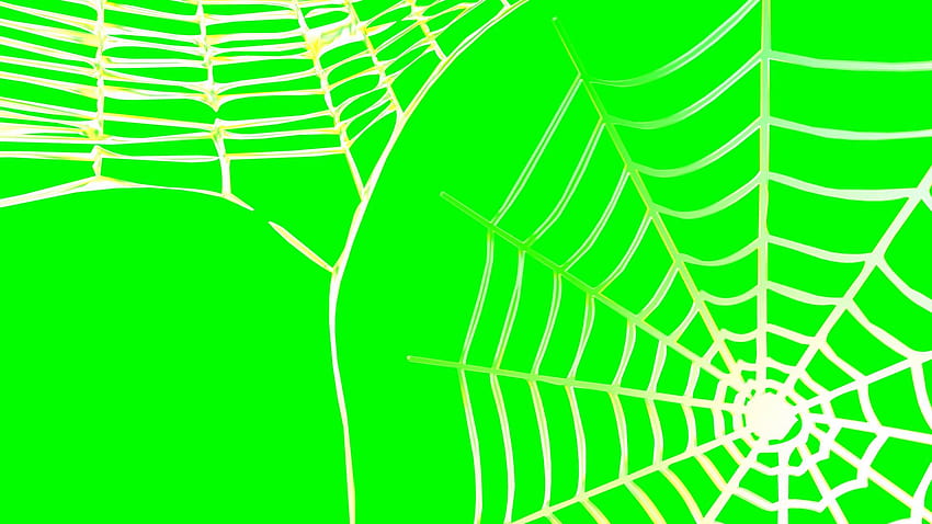 Spider Web Rotating Backgrounds Animation, web background green HD wallpaper