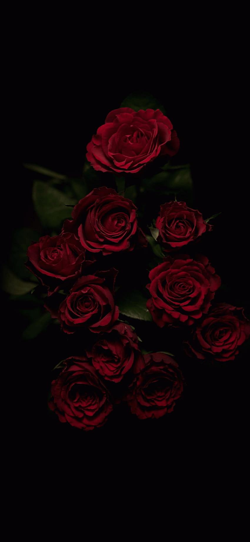 Dark Flower Aesthetic Top Dark Flower, red roses aesthetic HD phone  wallpaper | Pxfuel