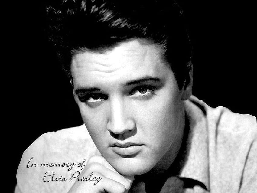 Elvis Presley e Screensaver, elvis presley iphone Sfondo HD