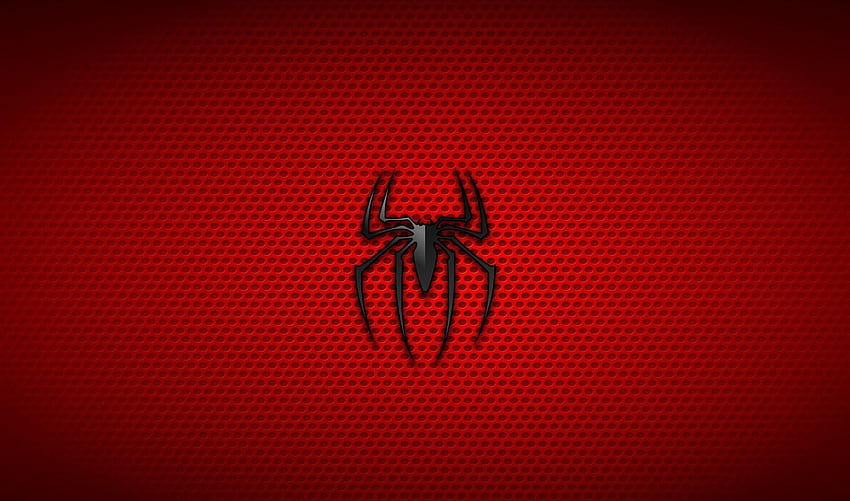 Spiderman for PC Full 1920×1080, spiderman background HD wallpaper