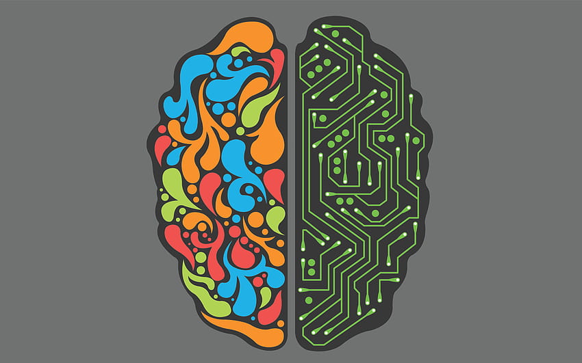 Left Brain – Right Brain: This idea must die – teflgeek, brain question HD wallpaper