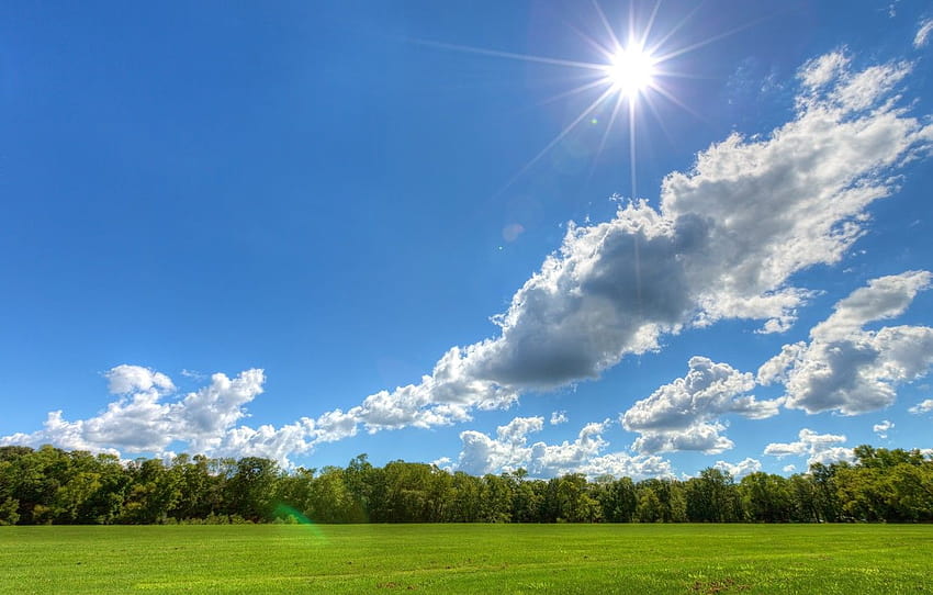der Himmel, Wolken, Bäume, Wiese, sonniger Tag, die Sonne, Abschnitt пейзажи, sonniger Himmel HD-Hintergrundbild