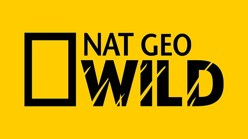Nat geo Logos, national geographic logo HD wallpaper