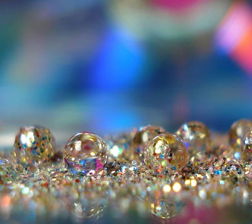 Teal Glitter on Dog, sparkly computer HD wallpaper