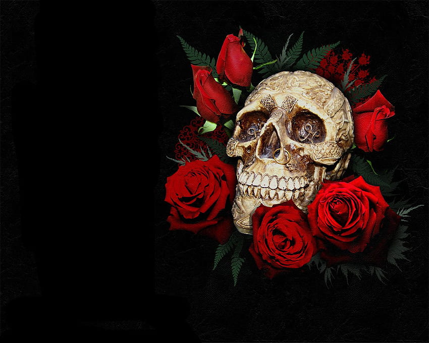 Black Skull with Rose on Dog, red skeletons HD wallpaper