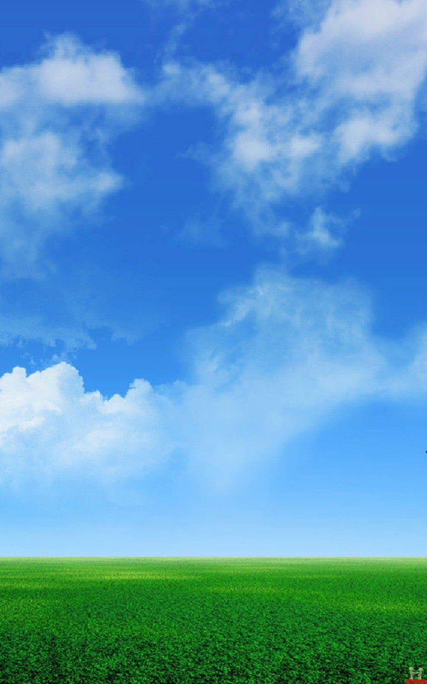 Grünes Feld unter blauem Himmel und grünes Feldmobil HD-Handy-Hintergrundbild