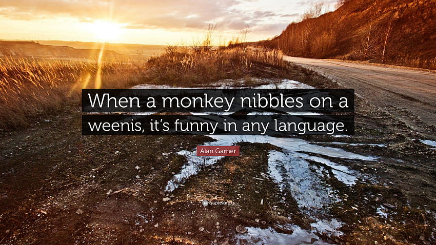 Alan Garner Quote: “When a monkey nibbles on a weenis, it's funny in any language.” HD wallpaper