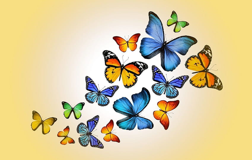 Aesthetic Butterflies, yellow butterfly HD wallpaper | Pxfuel