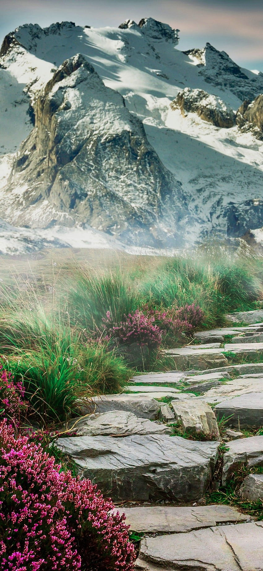 山 , パス, 丘, 春, 横向き, 景色, 石の階段, 自然, 春の風景 iphone HD電話の壁紙