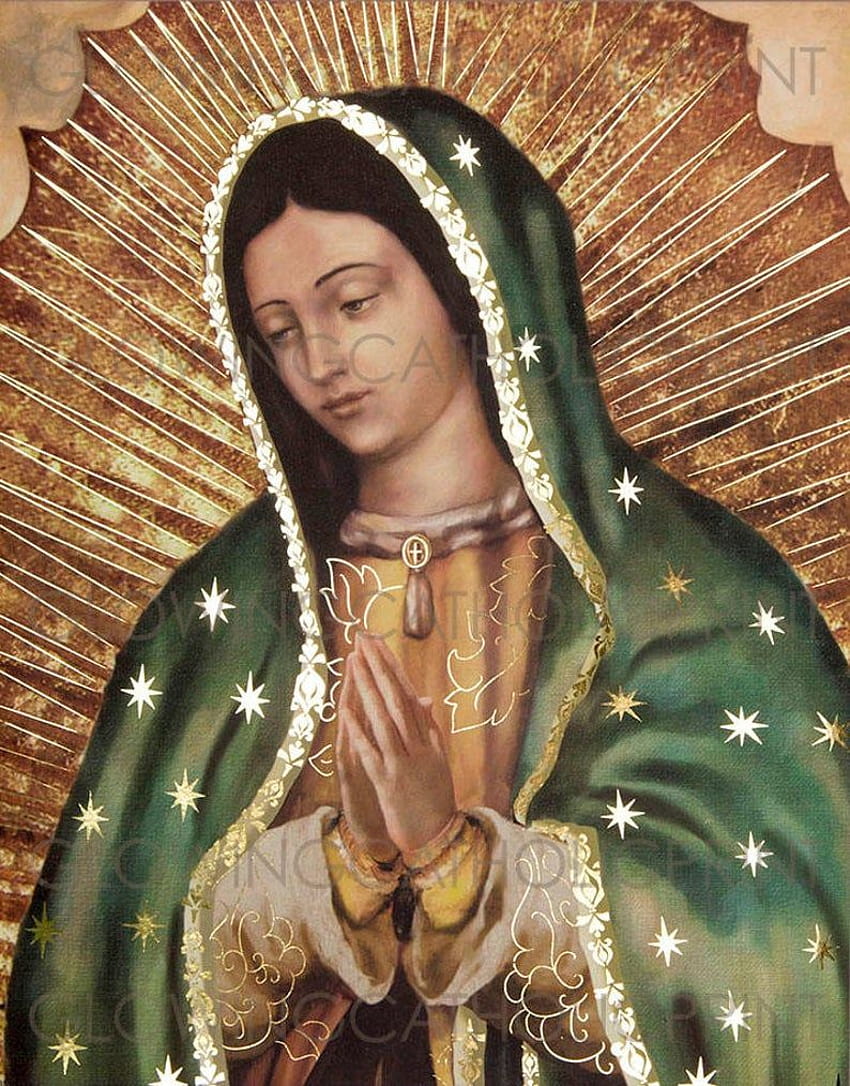 7 LA ROSA DE GUADALUPE Ideen, Virgen de Guadalupe Telefon HD-Handy-Hintergrundbild