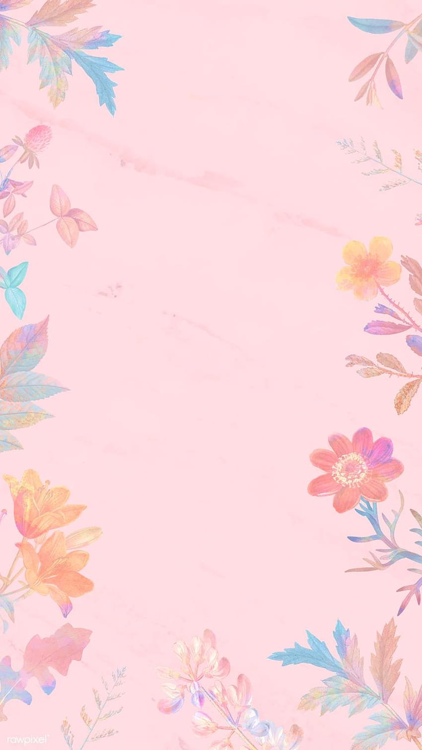 Vettore di cornice floreale rosa vuoto, fiori primaverili pastello Sfondo del telefono HD