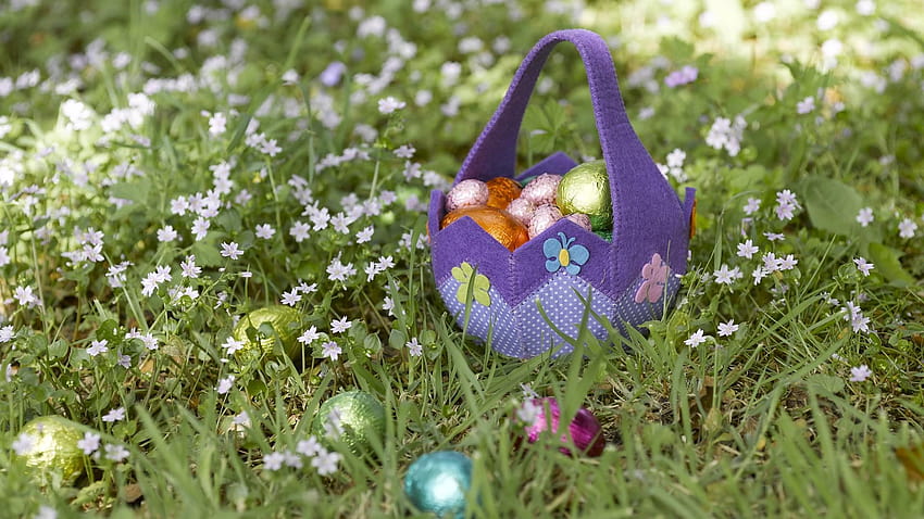 Easter Basket, gathering sping flowers HD wallpaper