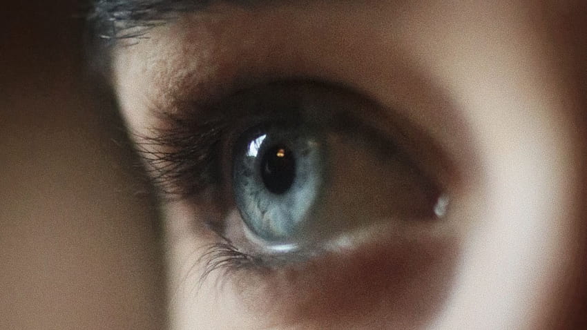 Blue Eye, Pupil, Glance HD wallpaper