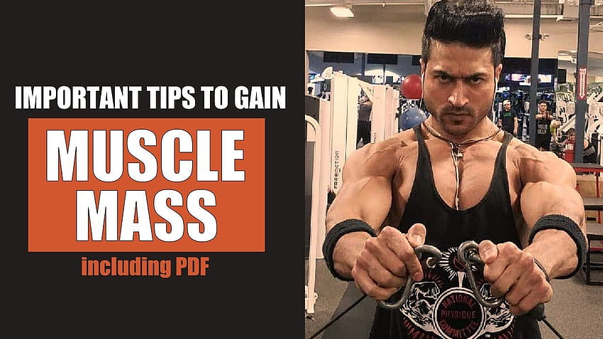 Important Tips to Gain MUSCLE MASS by Guru Mann HD wallpaper Pxfuel