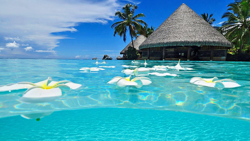 Increíbles islas exóticas y exóticas fondo de pantalla | Pxfuel