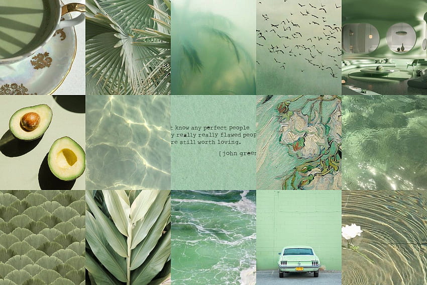 Sage green themed wall collage kit, aesthetic sage color HD wallpaper