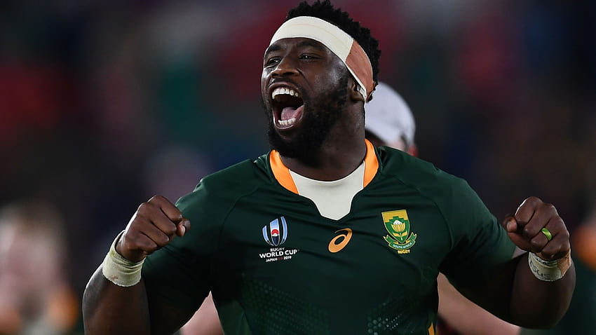 Los Springboks de Siya Kolisi están en la Copa Mundial de Rugby, rugby sudáfrica fondo de pantalla