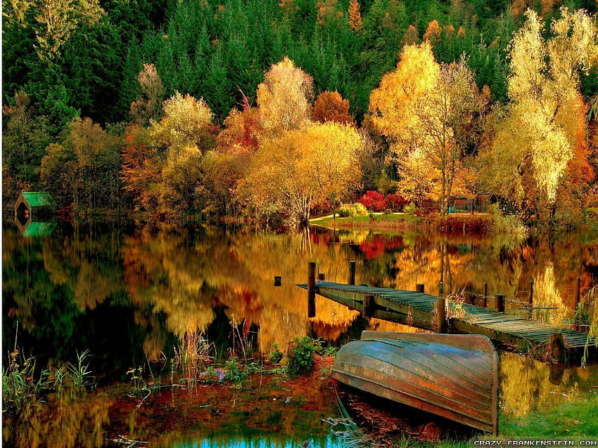 Woods Group, autumn woods bridge HD wallpaper | Pxfuel