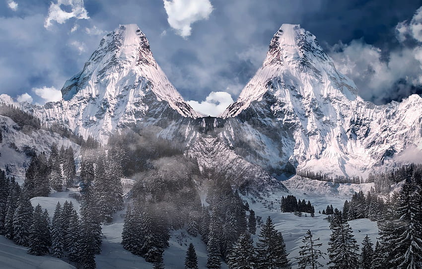 forest, winter, mountains, mountain, snow, highland, alpine , section пейзажи, winter highlands HD wallpaper
